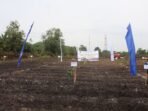 IMG-20250909-WA0104